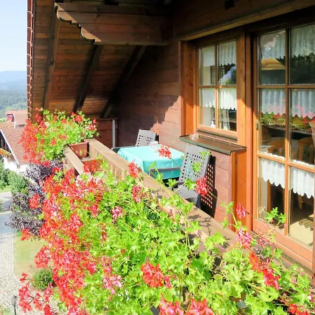 Appartamento Wolf-2 Viechtach