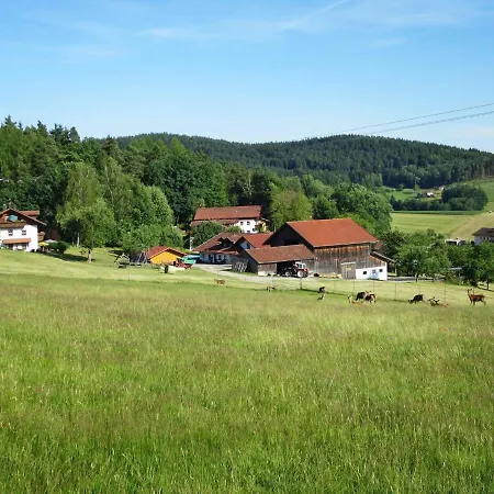 Wolf-2 Viechtach